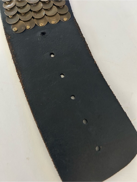Carlisle Black Belt w/Antique Brass Discs Wide Statement Piece RARE Vintage EUC main image 14